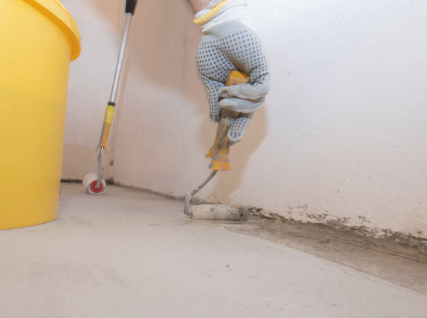 Best Termite Inspection and Treatment  in USA